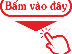 TB điều chỉnh, bổ sung lịch thi K49 K50